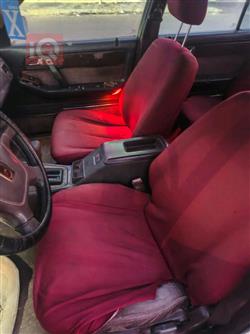 كيا بوتينشيا